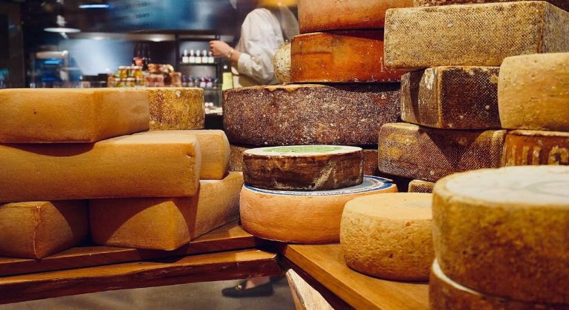 Egy szelet sajt az agyadnak? Egy friss kutatás szerint meglepő kapcsolat lehet a rendszeres sajtfogyasztás és a demencia kockázata között