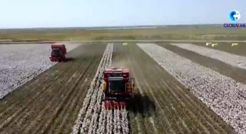 Sztár lett egy gazda, mert beintett egy milliárdos biznisznek