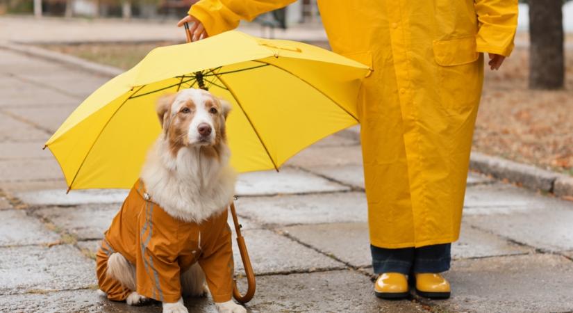 Borongós, esős nap ónos esővel