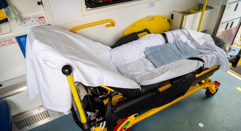 Kutyatámadás miatt került kórházba egy rendőr