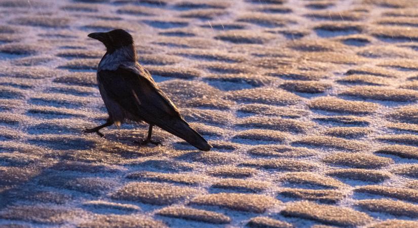 Újabb havazás jöhet Magyarországon