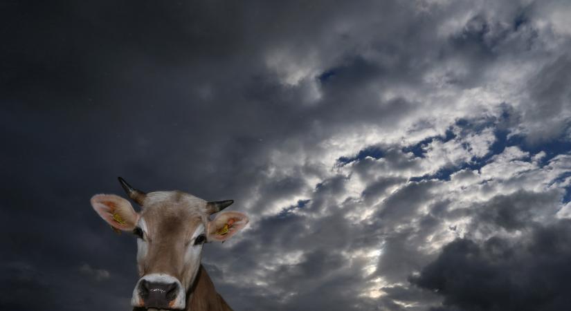 Esős, felhős hétvége