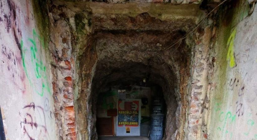 Olyat láthatsz most a föld alatt, amit ritkán – Semmi pánik, csak kis bátorság és zseblámpa kell!