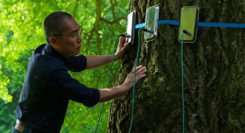 5 ok, amiért semmiképp ne hagyd ki Enyedi Ildikó új filmjét