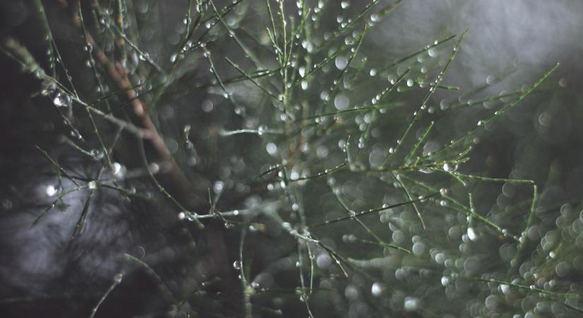 Időjárás: párában pácolt napok jönnek, a csapadék minden formáját megismerhetjük