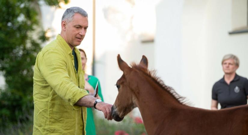 Földműves letelepítési program 40 év alatt: Lázár János drasztikus megoldása a generációváltásra
