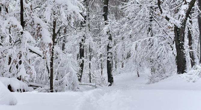 Fél méter friss havat kaptak a szlovén hegyek