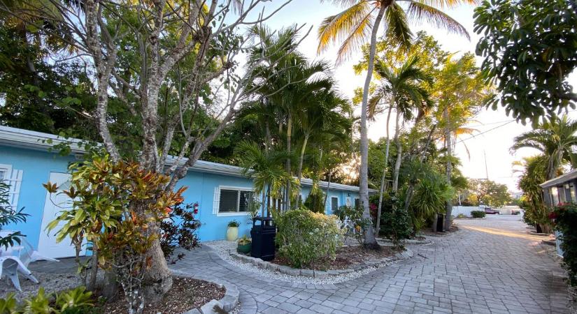 Luxus, mocsár, pálmafák: ilyen valójában Florida belülről, első kézből tapasztaltuk a valóságot