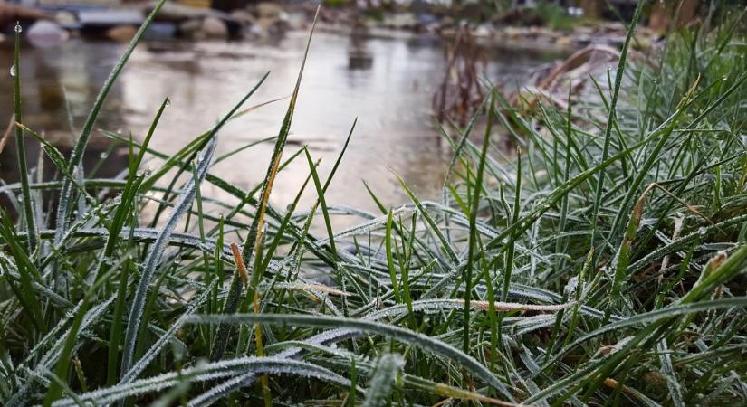 Kerti tó februárban: lék, levegőztetés, és a téli halvédelem alapjai