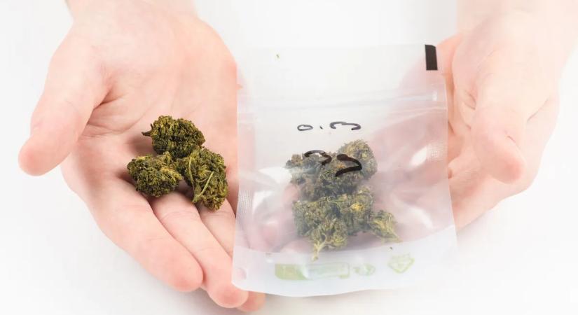 A májkrém mellé drogot is tudtak kérni a vevők a Teréz körúti boltban – videó