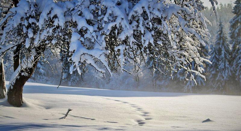 Eltemette Kőszeget a hó, 36 centi esett egy nap alatt