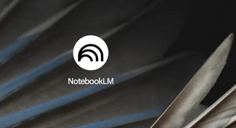 Beperelte a Google-t, mert ellopták a hangját