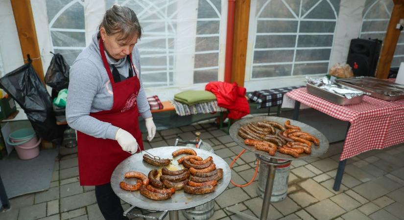 Pörzsöléstől a bálteremig – Így hódította meg a látogatókat a Boros Toros Egerszalókon