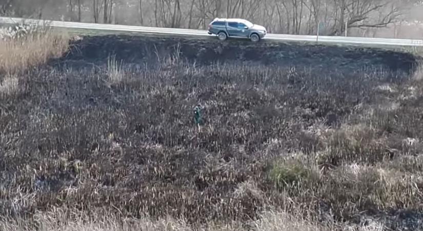 40 hektárnyi nádas vált hamuvá a Balatonnál, drámai videón a pusztítás nyomai