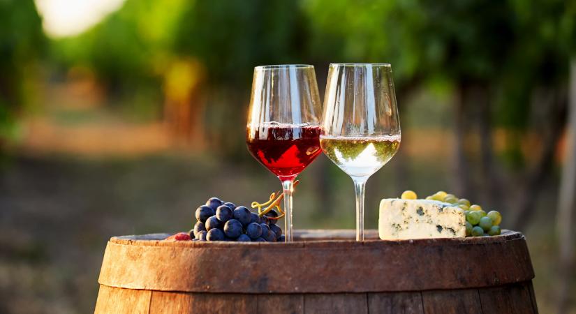 Ezért veszik sokan a külföldi bort a magyar helyett: itt a magyarázat