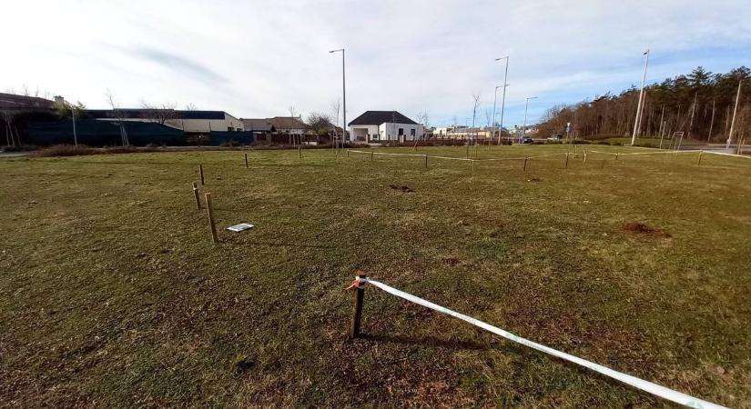 Új minierdő nő Veszprémben – őshonos fák és cserjék kerülnek a területre