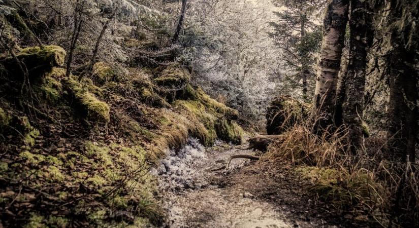 Kiderült, mi okozta a 21 éves túrázó nő halálát – összetört a család