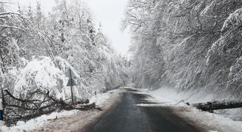 Fakidőlések miatt zárnak le több utat Vas vármegyében