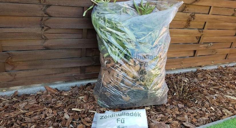 Zöldhulladék gyűjtő zsákokat osztanak Hajdú-Biharban