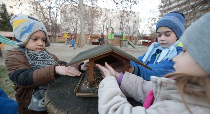 Megvan a dátum: ekkor kezdik a szekszárdi családok életét befolyásoló fejlesztést