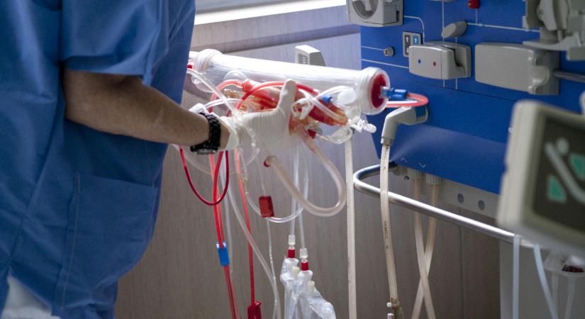 Csendes gyilkosnak is nevezik a CKD-t, rengeteg magyar felnőtt érintett