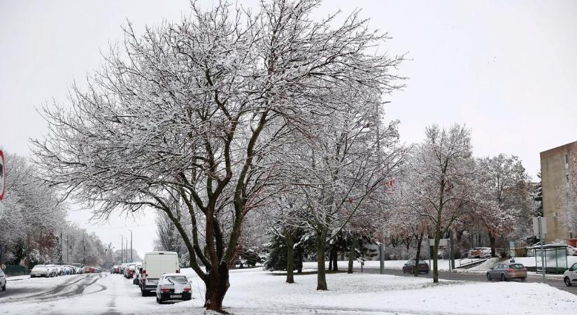 Idén egy kicsit visszakaptunk a régi telekből