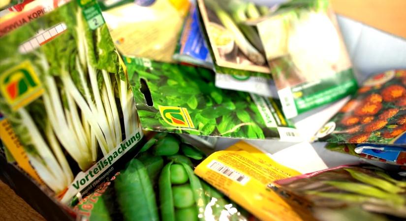 Most érdemes elkezdeni, hogy tavasszal meghálálja a kert!