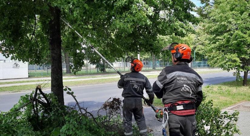 Lezárásokkal jár a munka Nyíregyháza belvárosában, érdemes figyelni