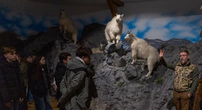 Vásárosnaményban ismerhették meg a sikeres vállalkozás titkát (fotók)