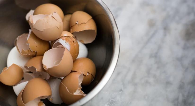 Jobb kalciumforrás a tejnél, mégis a kukába dobjuk