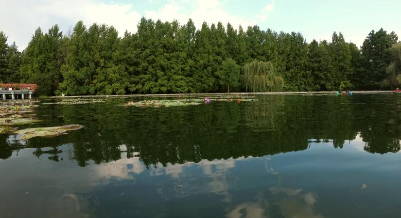 Sokan nem is tudják, hogy több hazai termálfürdő vize gyulladáscsökkentő hatású