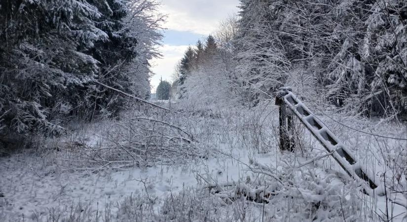 Több mint egy napja nincs áram Vas vármegye egyes részein, olvasónk szerint a segélyhívót sem érik el