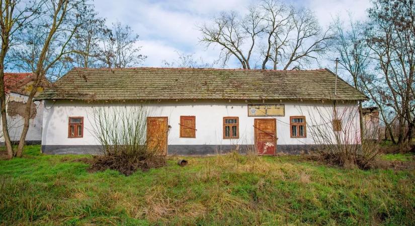 Csokik és üvegek: Feri bácsi egykori vegyesboltja az alföldi tanyavilágban