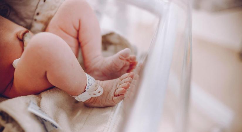 Odett, Raul és Liza Nazira is megérkezett – 8 baba született Veszprémben