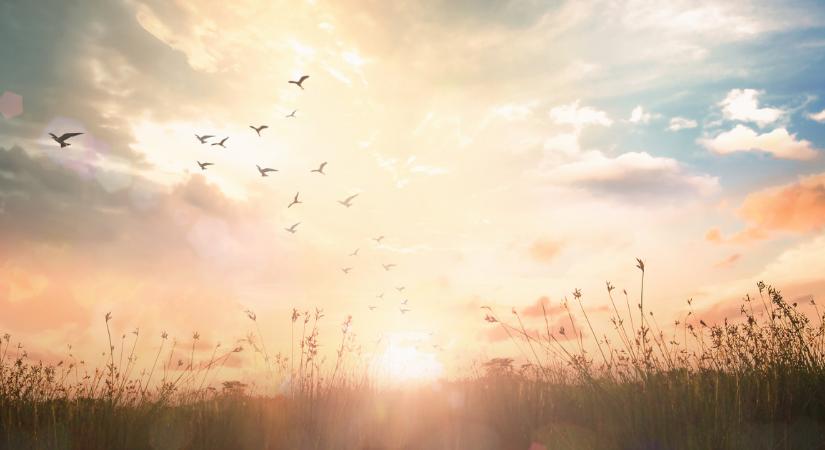 27 percig volt halott egy nő, felfedte, mi van a túlvilágon - Döbbenetes, mit látott