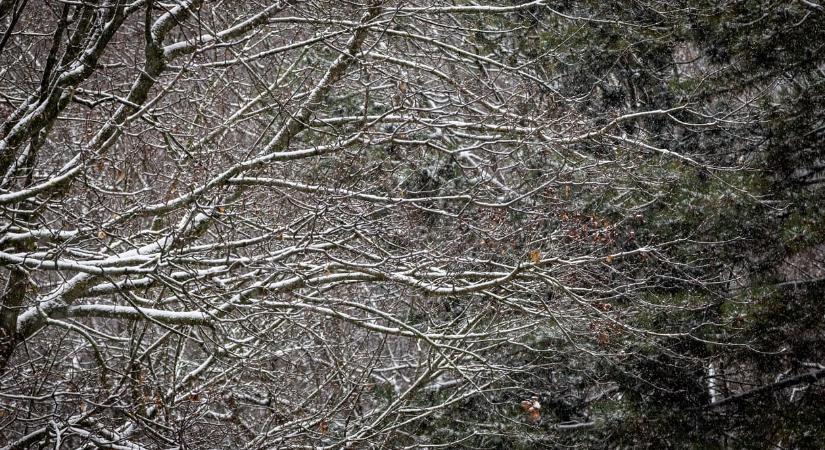 Több mint egy napja nincs áram Vas megye bizonyos részein