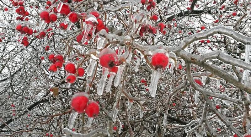 Riasztást adtak ki, ónos esővel ébreszt a vasárnap hajnal