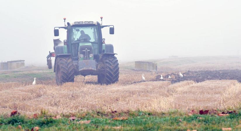 Fagyponttól 16 fokig: Bolondbiztos tavasz vagy csak átmeneti enyhülés? VIDEO