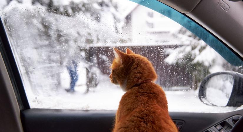 Esős napunk lesz vasárnap