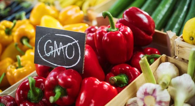 GMO-k: márciusban dőlhet el a kontroll sorsa