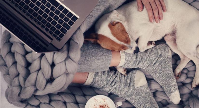 Itt a vasárnap, mi pedig mutatjuk a legfontosabb tudnivalókat