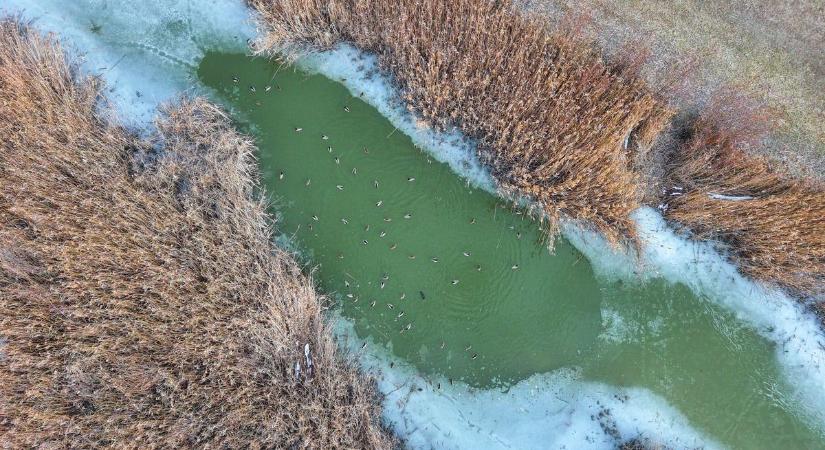 Kiszámíthatatlan február: újabb fordulat Tolna felett!