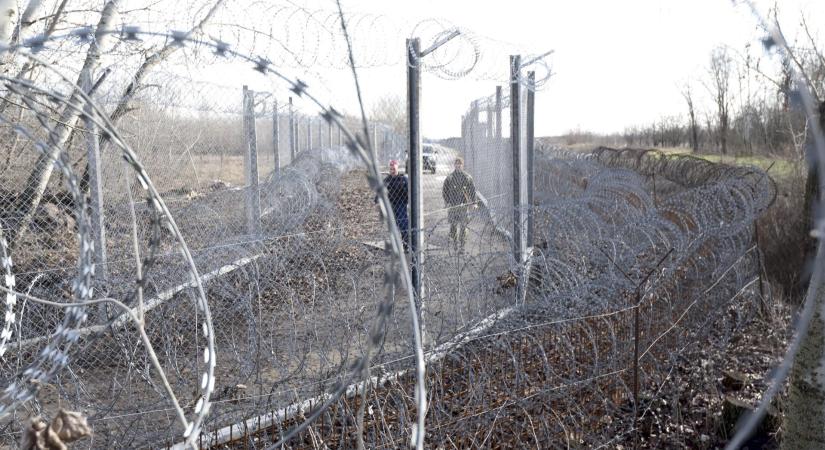 Holnap kit gyűlöljek? - Selmeci János jegyzete