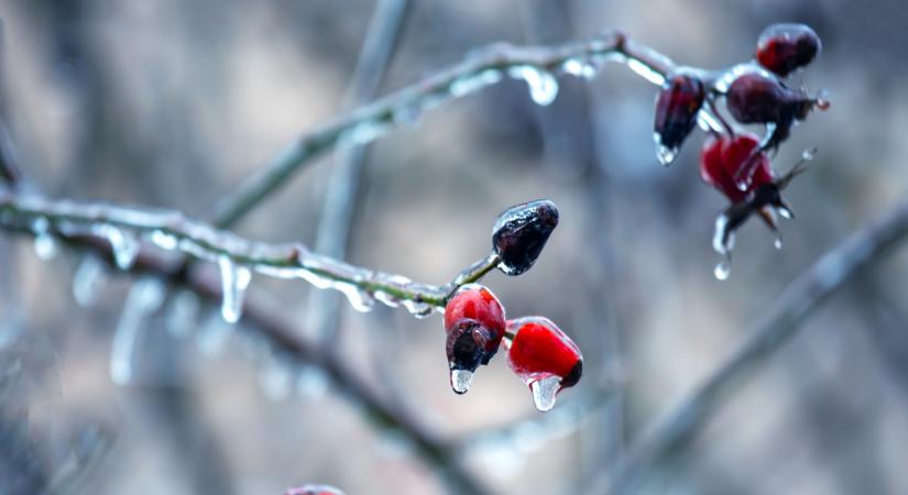Figyelmeztetik a magyarokat: durva időjárás jön ma ebben az 5 megyében