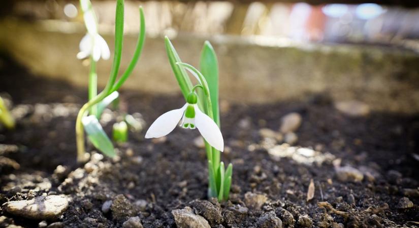 Időjárás: közel a melegedés