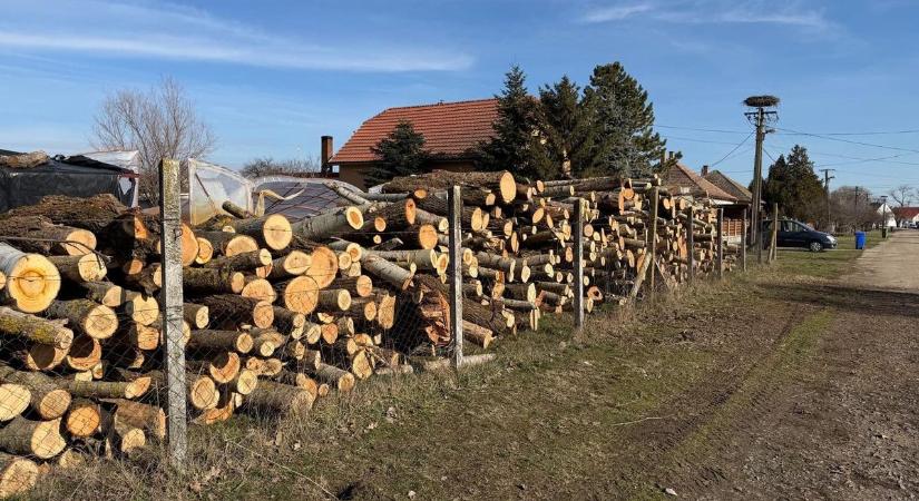 „Mártélyon senki nem marad bajban” – a kemény télben is segítettek