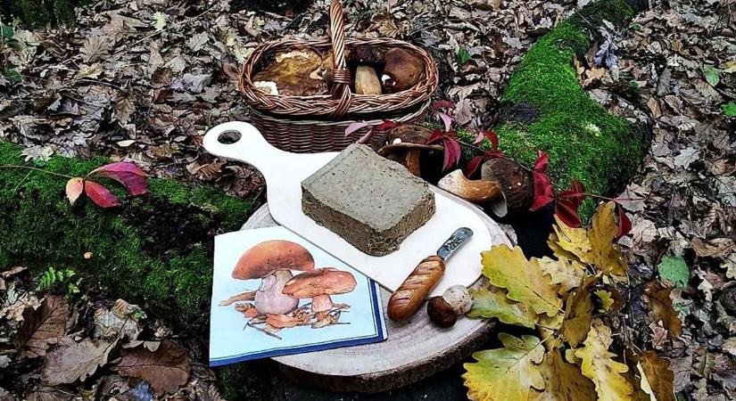 Vargányavaj és medvehagymakalács – egy zalai hölgy elképesztő titkai az erdőből