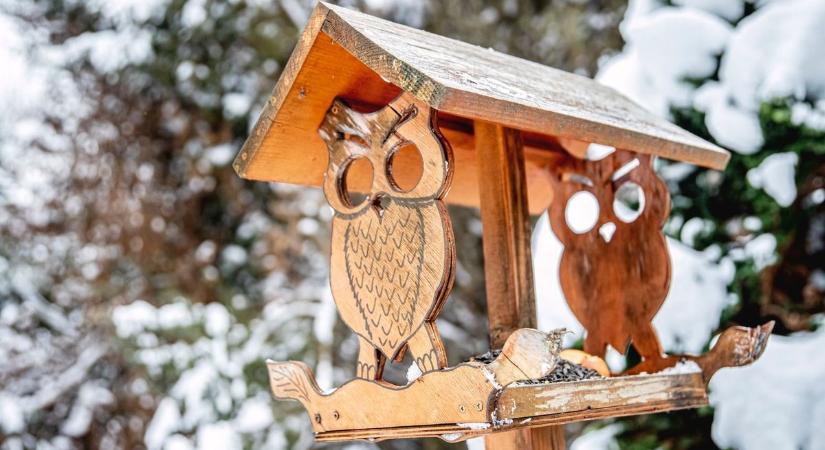 Segíteni akarsz a madaraknak? Lehet, hogy épp most ártasz a legtöbbet