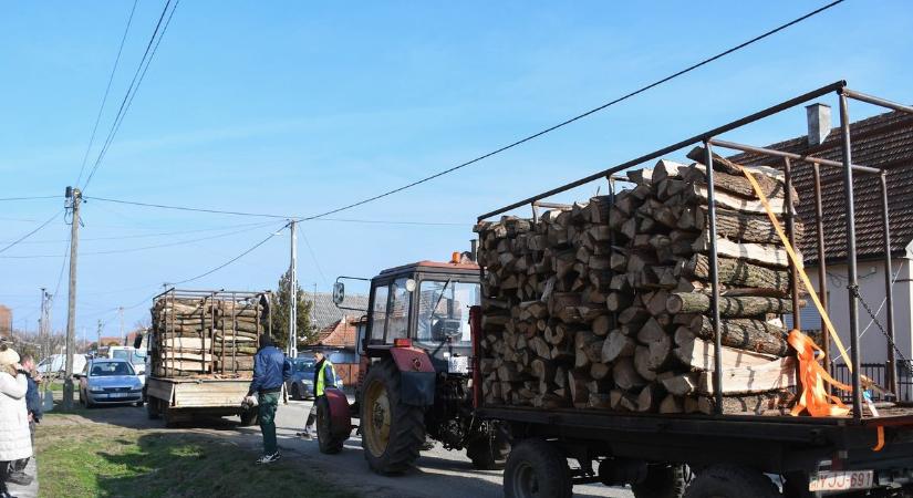 Megérkezett az 550 köbméter tűzifa Mátészalkára – március végéig 550 családhoz jut el a segítség