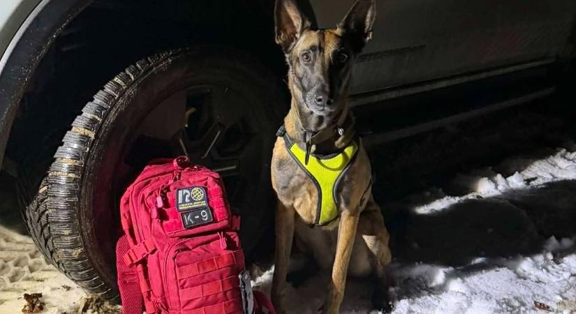 Eltűnt egy férfi a Mecsekben, menőkutyákat is bevetettek a kereséséhez!